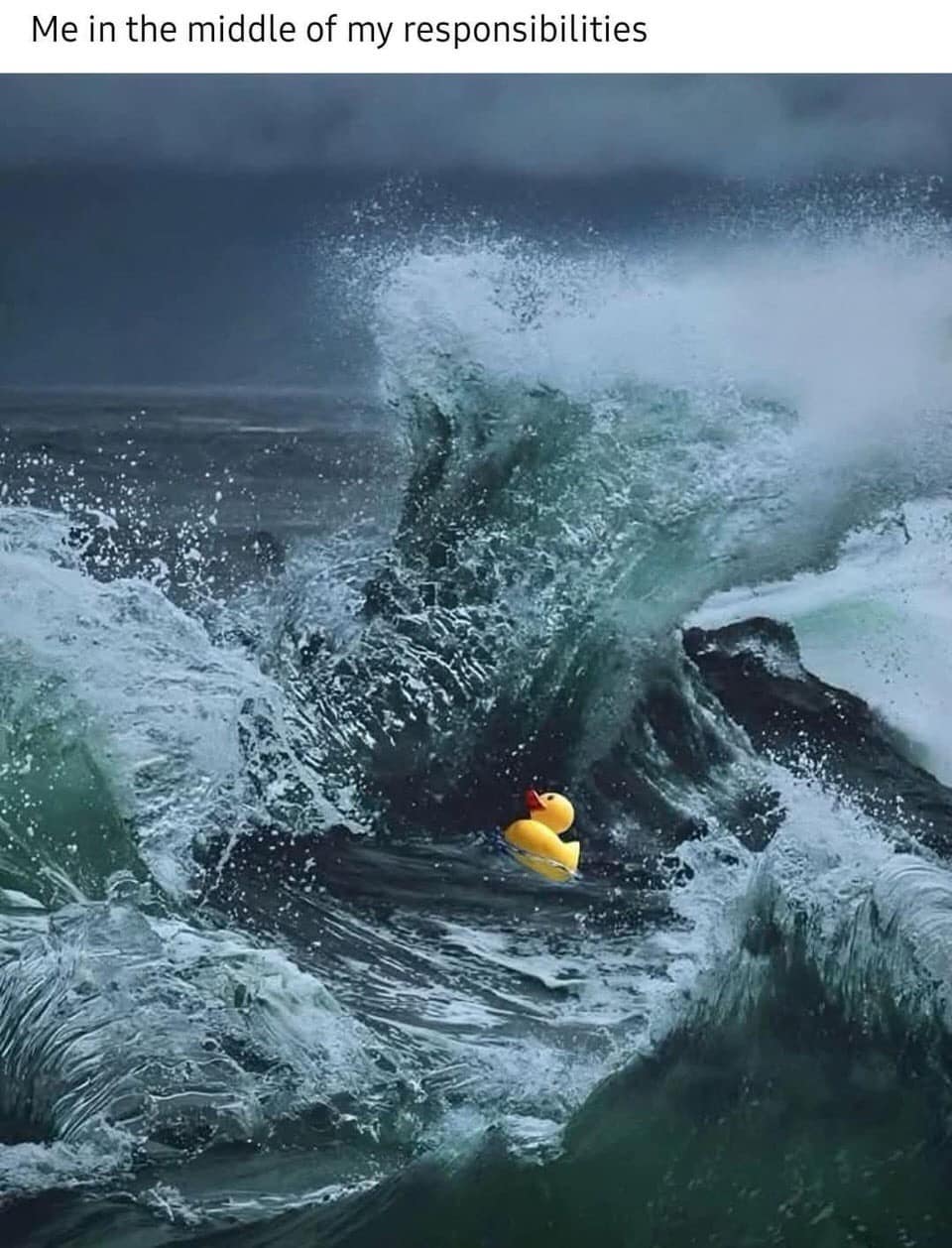 classic memes, vintage memes, viral tweets, vintage internet jokes, throwback memes, everlasting digital humor, influential microblogs, popular short posts, high-traction commentary, nostalgic memes, old-school comedic images, retro web hits, timeworn online jokes, internet humor, comedic net content, worldwide web wit, online comedic culture, old memes, best memes