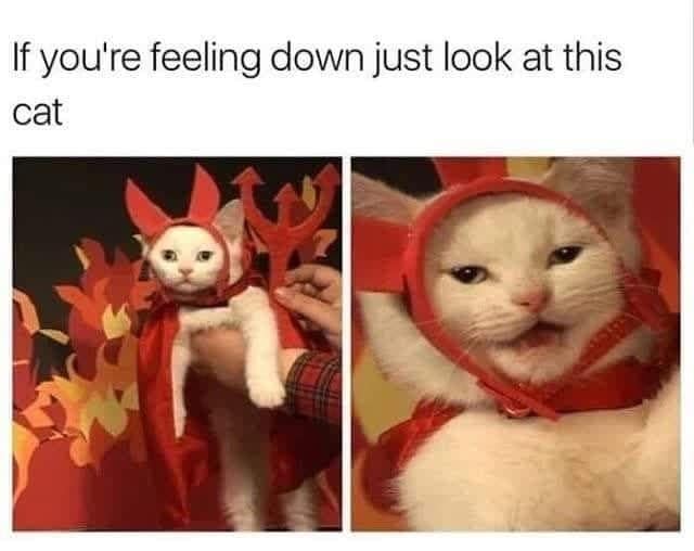 classic memes, vintage memes, viral tweets, old memes, best memes, timeless memes, vintage internet jokes, retro memes, trending text lines, widely shared posts, social media snapshots, vintage web content, comedic blasts from past, internet humor, digital comedic culture, web-based jokes, online comedic references