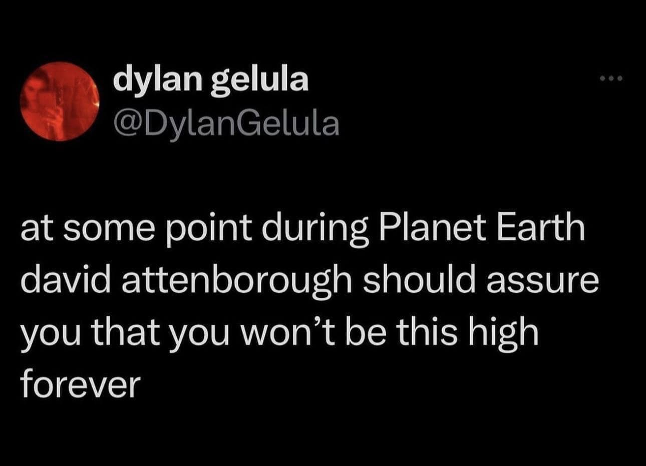 classic memes, vintage memes, viral tweets, timeless memes, iconic memes, old memes, best memes, internet humor, nostalgic memes, online jokes, trending tweets, throwback laughs