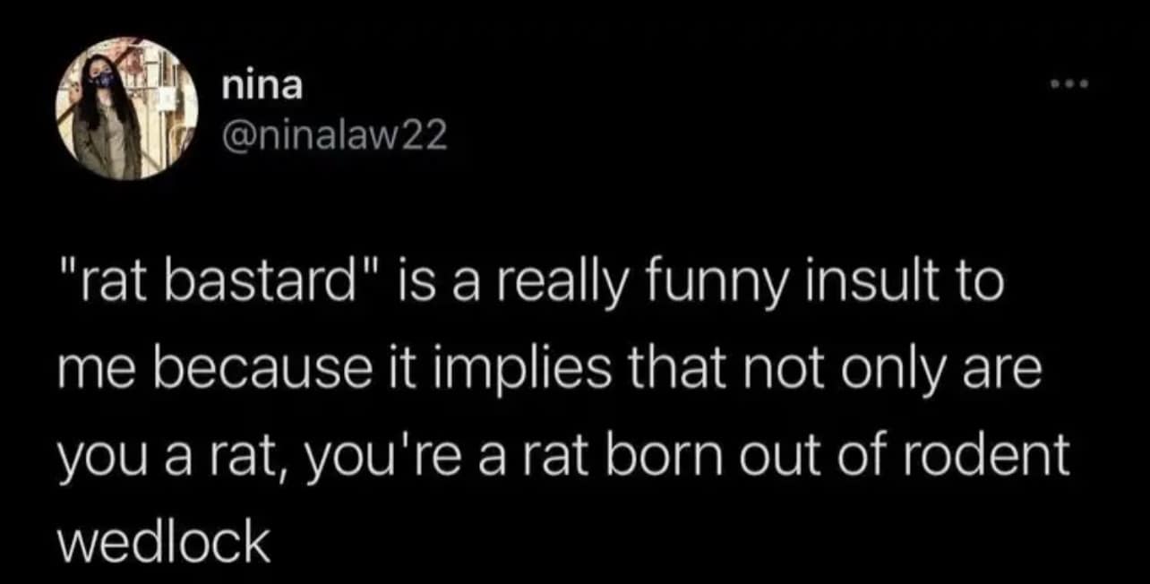 nina @ninalaw22 "rat bastard" is a really funny insult to me because it implies that not only are you a rat, you're a rat born out of rodent wedlock