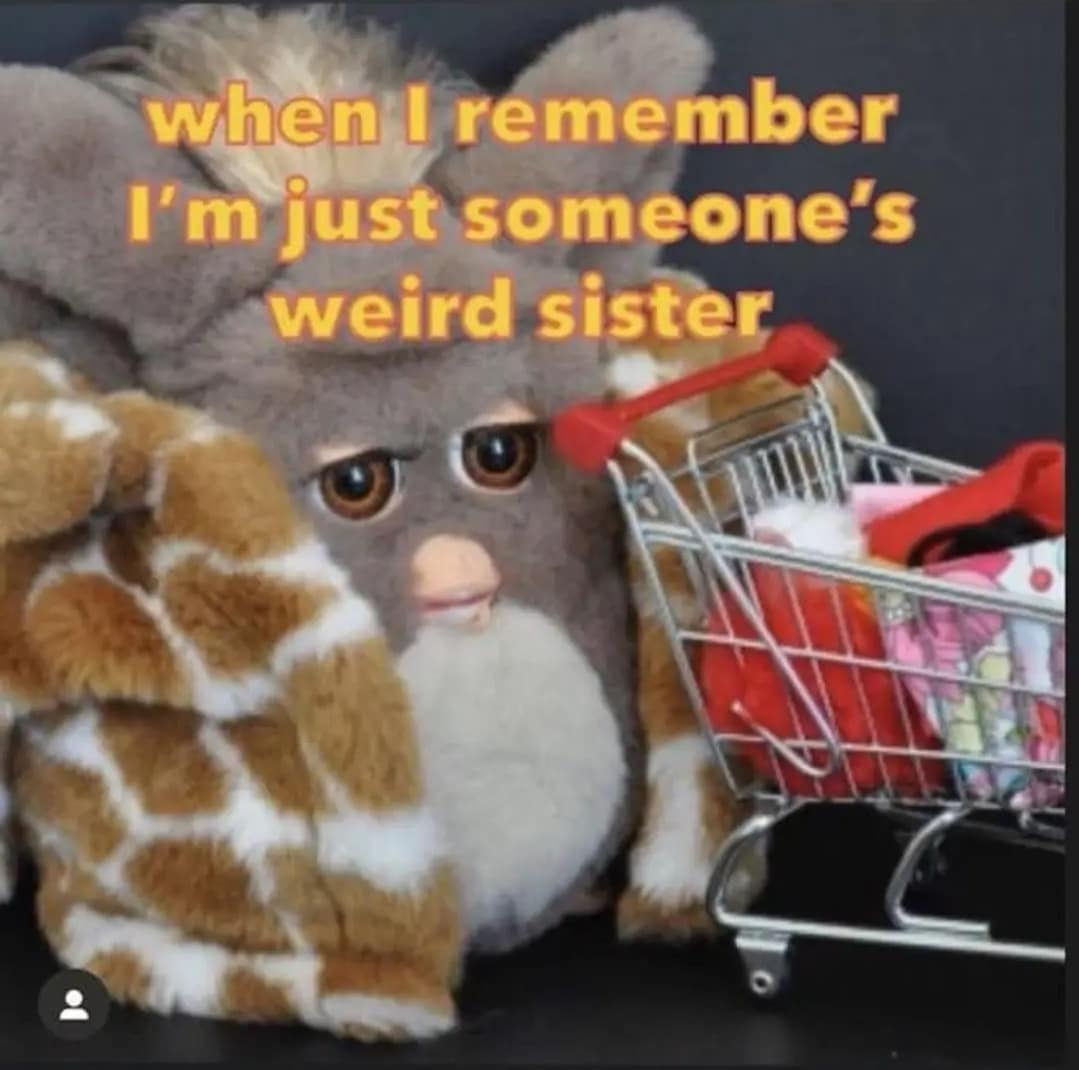 classic memes, vintage memes, viral tweets, old memes, best memes, timeless memes, vintage internet jokes, retro memes, trending text lines, widely shared posts, social media snapshots, vintage web content, comedic blasts from past, internet humor, digital comedic culture, web-based jokes, online comedic references