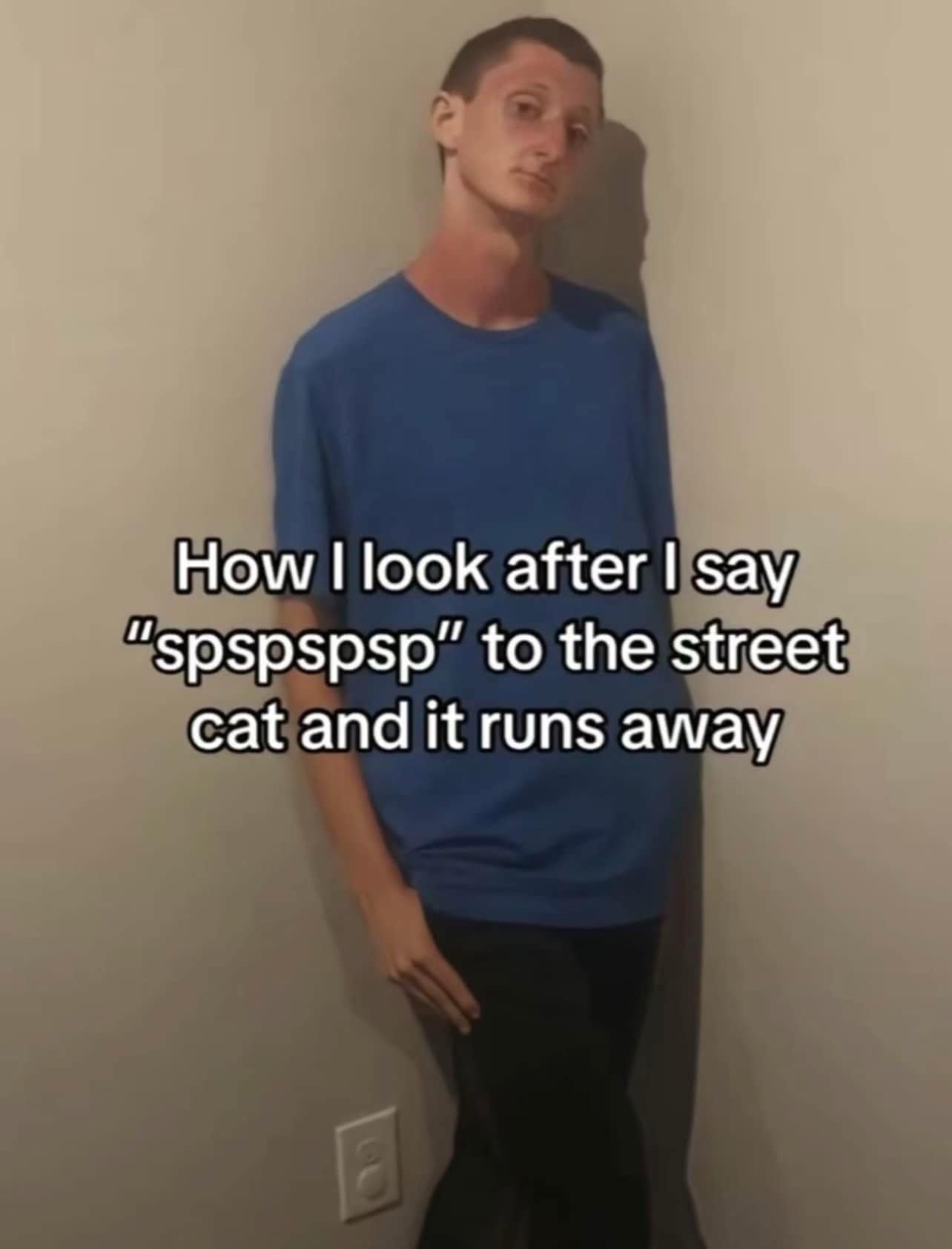 How I look after I say "spspspsp" to the street cat and it runs away