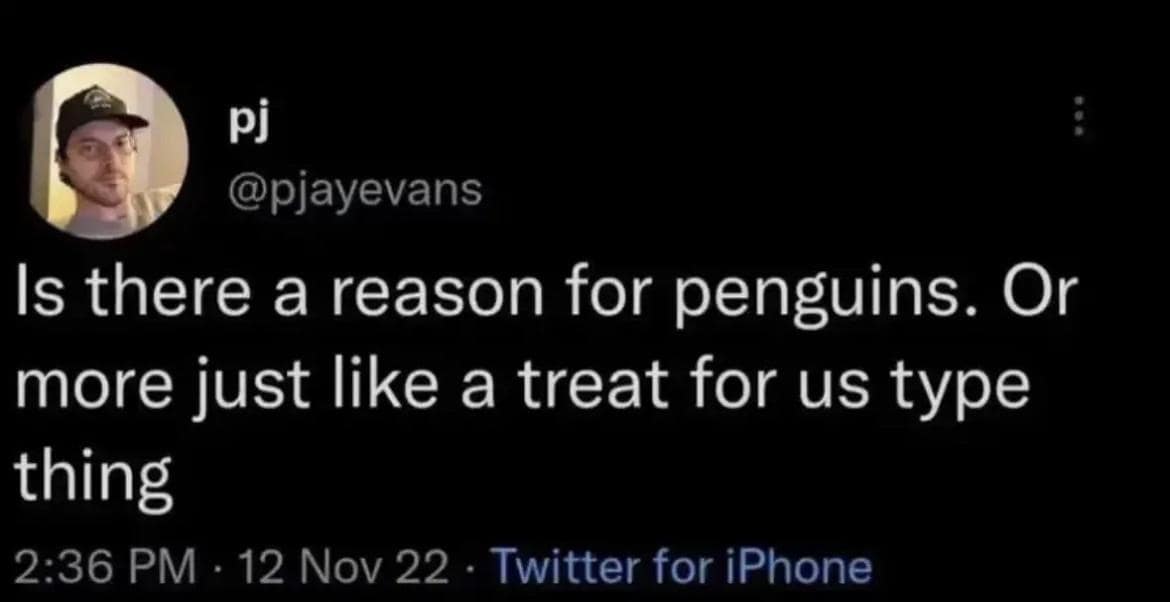 @pjayevans Is there a reason for penguins. Or more just like a treat for us type thing 2:36 PM • 12 Nov 22 - Twitter for iPhone