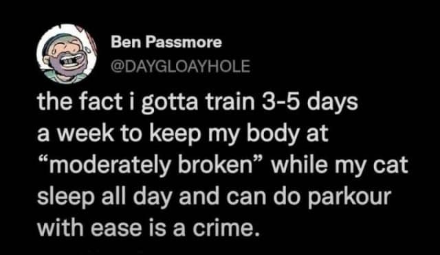 Ben Passmore @DAYGLOAYHOLE the fact i gotta train 3-5 days a week to keep my body at "moderately broken" while my cat sleep all day and can do parkour with ease is a crime.