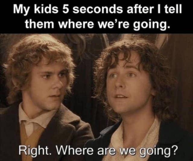 My kids 5 seconds after I tell them where we're going. Right. Where are we going?