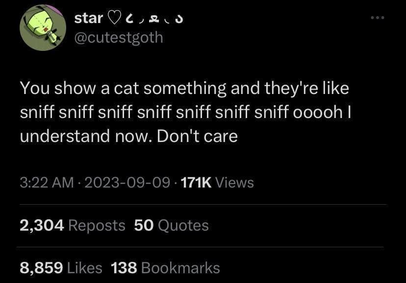 star 06,21s @cutestgoth You show a cat something and they're like sniff sniff sniff sniff sniff sniff sniff 0000h I understand now. Don't care 3:22 AM • 2023-09-09 • 171K Views 2,304 Reposts 50 Quotes 8,859 Likes 138 Bookmarks