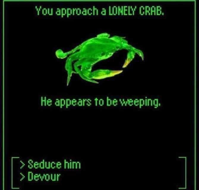 crab meme, crab memes, crustacean humor, shelled comedic images, pincers in pictures, weirdly funny crabs, odd crab jokes, strange shellfish fun, comedic crustaceans, ocean memes, sea-themed humor, aquatic amusements, marine comedic content, sea life humor, watery jests, oceanic jokes, brine-laced punchlines