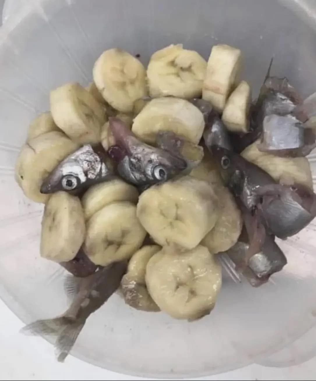 cursed food, cursed food images, cursed images food, cursed dishes, food nightmares, culinary horrors, bizarre food, food disasters, weird food, kitchen blunders, food abominations