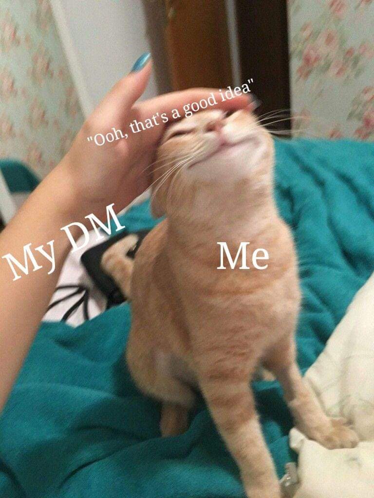 dnd memes, d&d memes, dungeons & dragons, tabletop humor, RPG jokes, dice-rolling laughs, role-playing memes, character creation puns, story-driven fun, gaming banter, fantasy gaming jokes, quest comedy, mythical hilarity, epic sarcasm, critical hit humor, lucky rolls, big damage quips, heroic punchlines