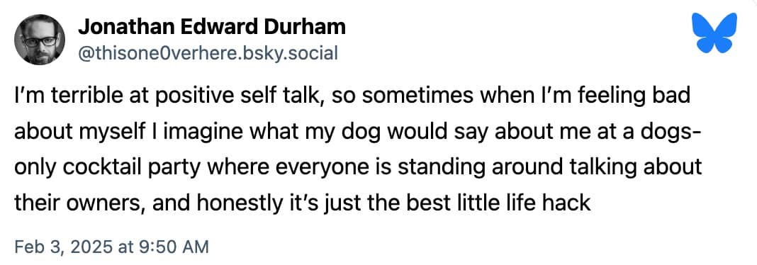 dog memes, funny dog memes, pet humor, dog owner struggles, pet antics, dog photo fails, dog walking humor, vacuum cleaner battles, dog homework jokes