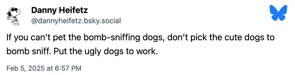 dog memes, funny dog memes, pet humor, dog owner struggles, pet antics, dog photo fails, dog walking humor, vacuum cleaner battles, dog homework jokes