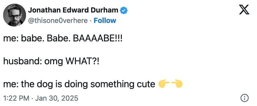 dog memes, funny dog memes, pet humor, dog owner struggles, pet antics, dog photo fails, dog walking humor, vacuum cleaner battles, dog homework jokes