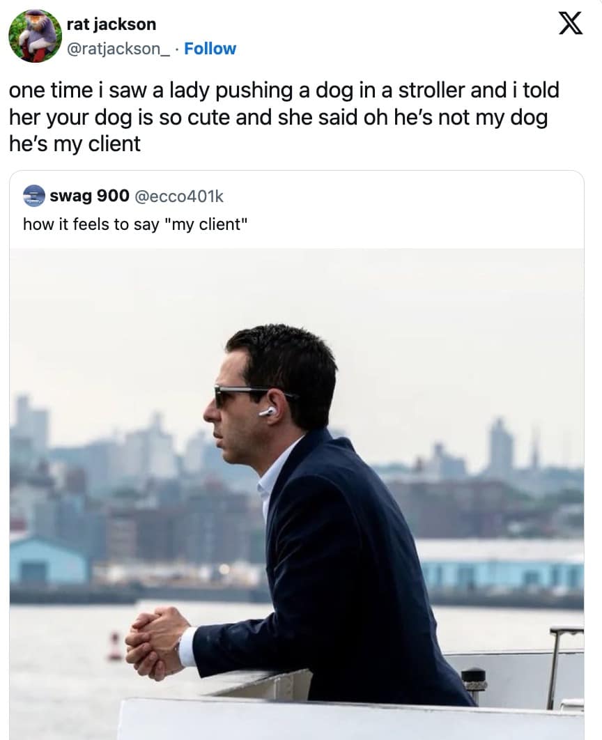 dog memes, funny dog memes, pet humor, dog owner struggles, pet antics, dog photo fails, dog walking humor, vacuum cleaner battles, dog homework jokes