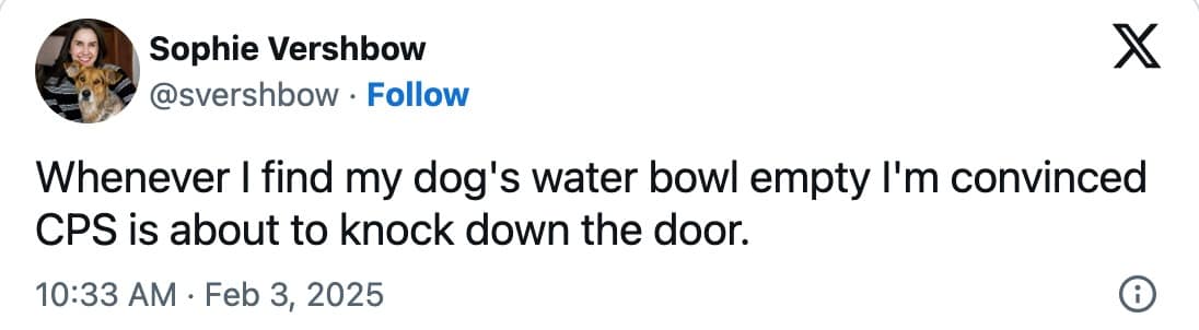 dog memes, funny dog memes, pet humor, dog owner struggles, pet antics, dog photo fails, dog walking humor, vacuum cleaner battles, dog homework jokes