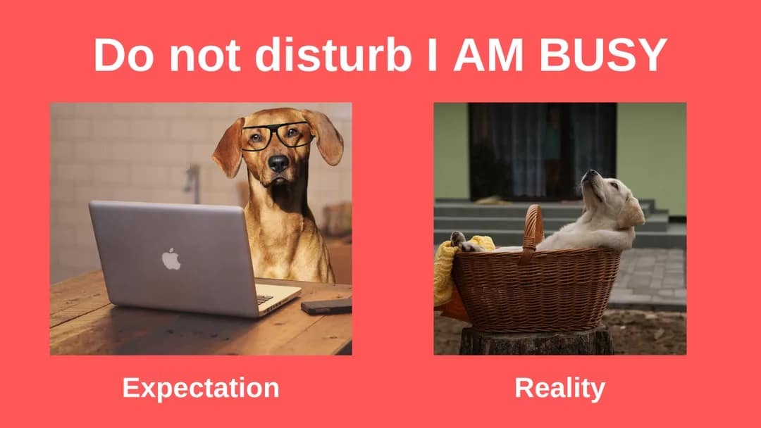 expectations vs reality, expectation vs reality, hopeful outcomes, dream vs truth, anticipated results vs actual outcomes, wishful thinking, idealized visions, optimistic planning, naive aspirations, unrealistic plans, improbable aims, overreaching goals, far-fetched dreams