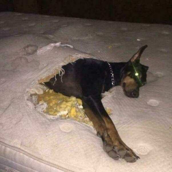 expensive fails, expensive accidents, costly disasters, pricey mishaps, budget-breaking blunders, wallet-crushing slipups, high-cost misfortunes, lavish slip-ups, financial fails, monetary disasters, fiscal nightmares, currency crises, costly mistakes, pricey slipups, dear blunders, overspending goofs