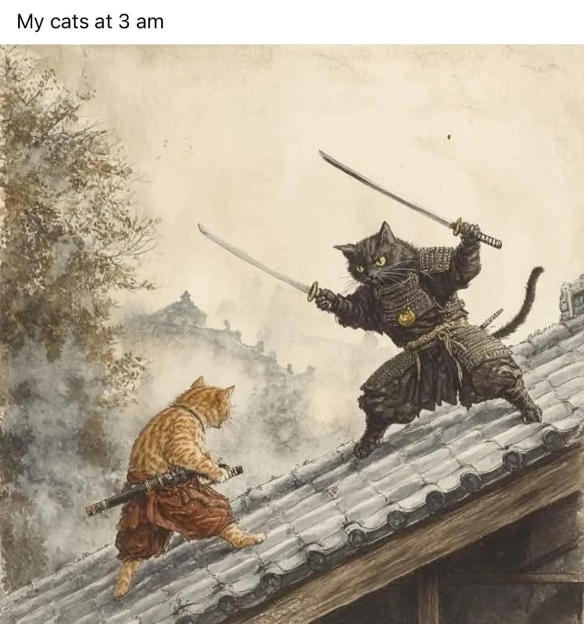 funny cat memes, cat memes, hilarious cat memes, comical cat memes, amusing cat memes, cat humor, viral cat videos, internet cat culture, feline comedy, trending cat clips, online cat antics