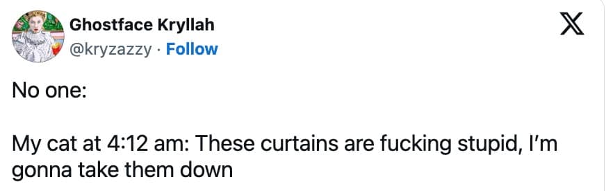 funny cat memes, cat memes, hilarious cat memes, comical cat memes, amusing cat memes, cat humor, viral cat videos, internet cat culture, feline comedy, trending cat clips, online cat antics