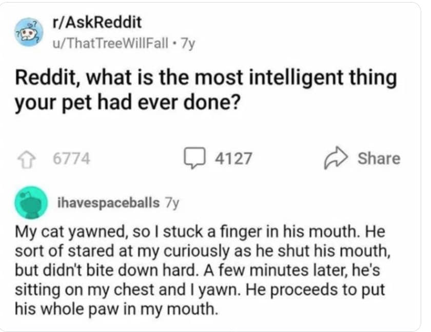 funny cat memes, cat memes, hilarious cat memes, comical cat memes, amusing cat memes, cat humor, viral cat videos, internet cat culture, feline comedy, trending cat clips, online cat antics