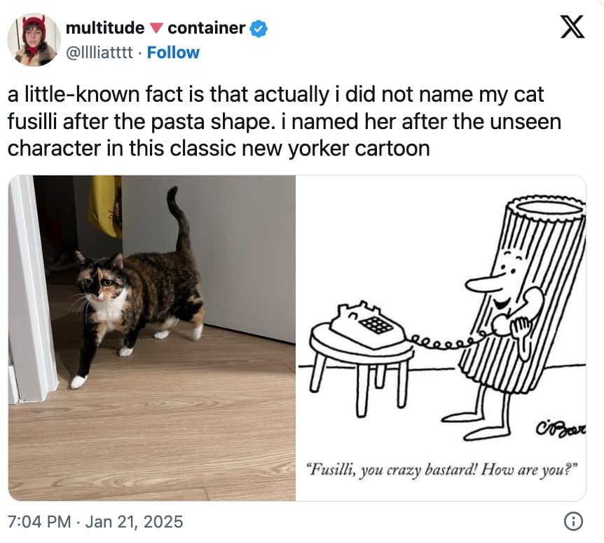 funny cat memes, cat memes, hilarious cat memes, comical cat memes, amusing cat memes, cat humor, viral cat videos, internet cat culture, feline comedy, trending cat clips, online cat antics