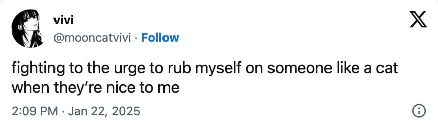 funny cat memes, cat memes, hilarious cat memes, comical cat memes, amusing cat memes, cat humor, viral cat videos, internet cat culture, feline comedy, trending cat clips, online cat antics