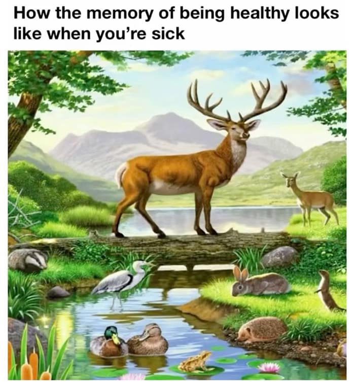 How the memory of being healthy looks like when you're sick