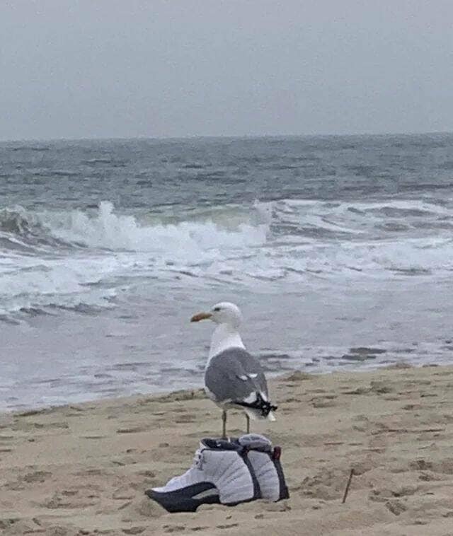 How it feels to explain a meme that requires years of being chronically online for it to be funny