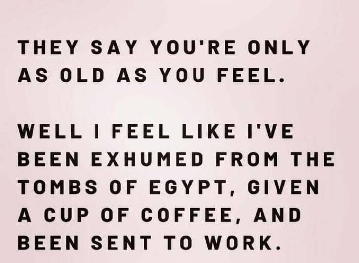 funny memes for women, women memes, comedic female posts, girlish humor bits, women-centric gags, relatable female humor, women’s inside jokes, everyday female laughs, female-focused funnies, women’s comedy, lady-centric jokes, feminine banter, girl-power giggles, feminine wit, sassy female commentary, wry womanly humor, clever female punchlines