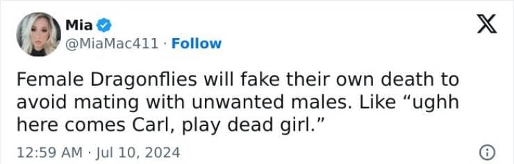 funny memes for women, women memes, comedic female posts, girlish humor bits, women-centric gags, relatable female humor, women’s inside jokes, everyday female laughs, female-focused funnies, women’s comedy, lady-centric jokes, feminine banter, girl-power giggles, feminine wit, sassy female commentary, wry womanly humor, clever female punchlines