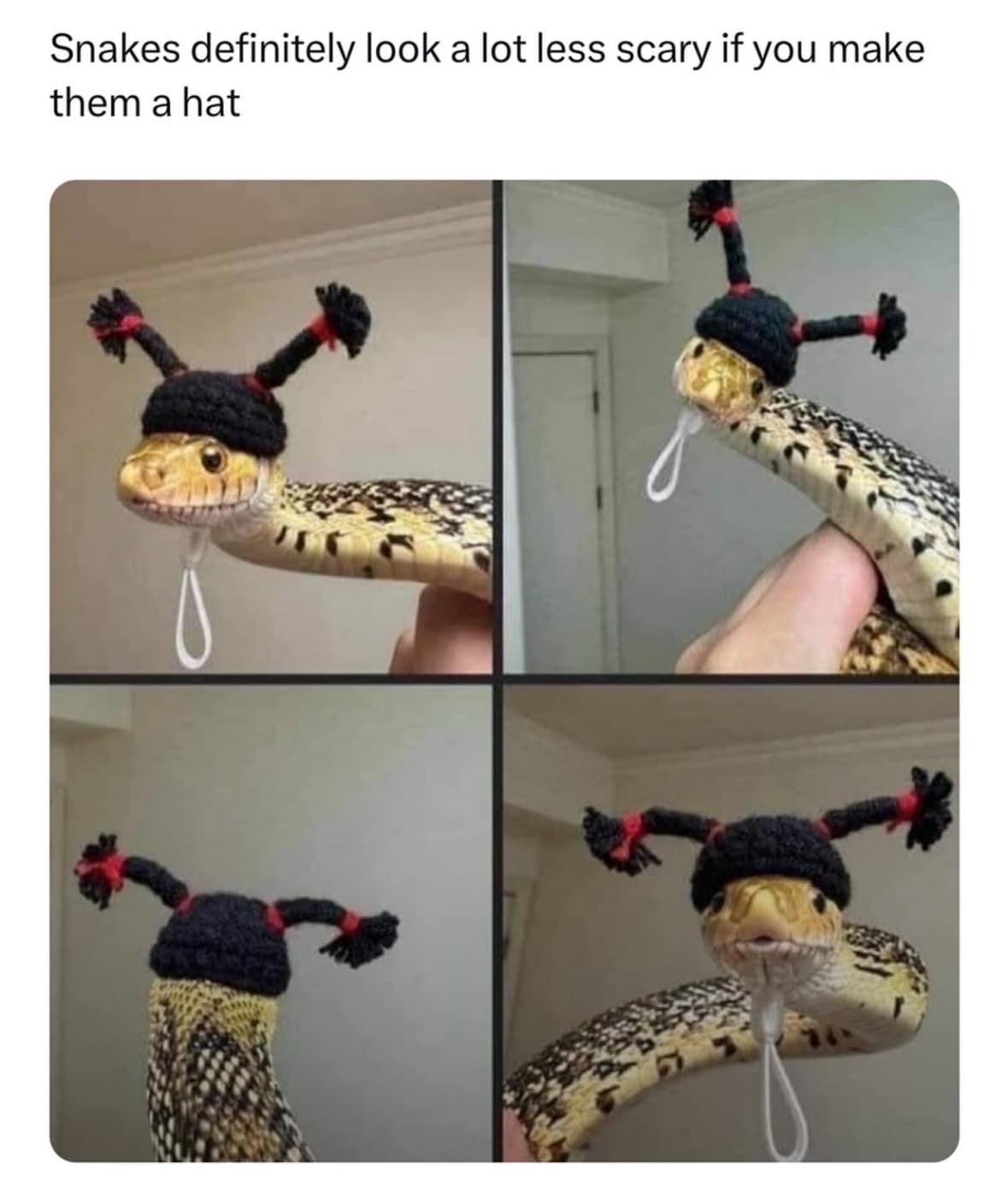 Snakes definitely look a lot less scary if you make them a hat