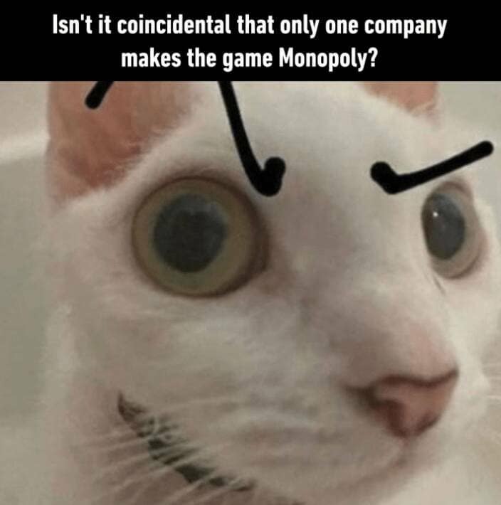Isn't it coincidental that only one company makes the game Monopoly?