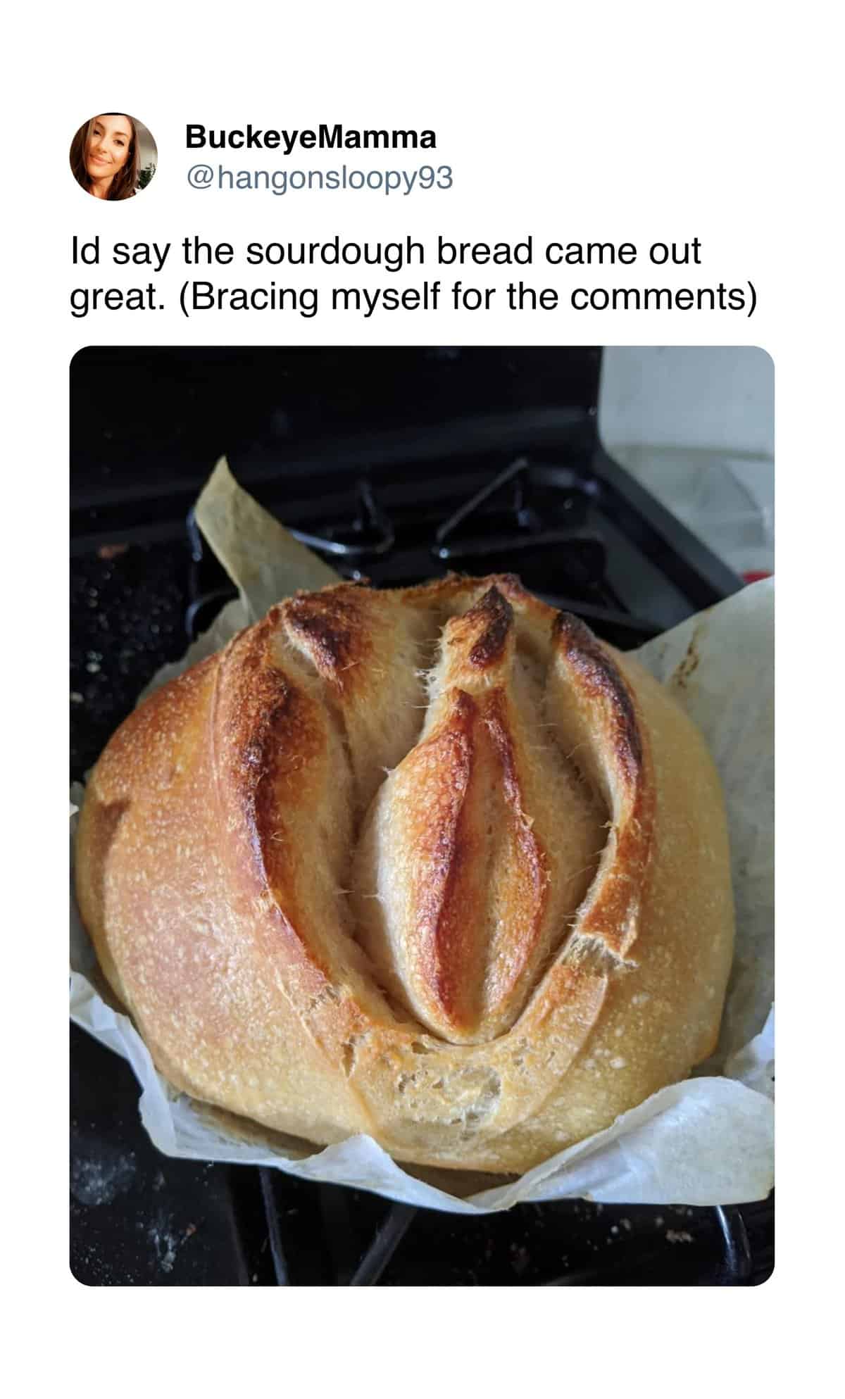 Id say the sourdough bread came out great. (Bracing myself for the comments)