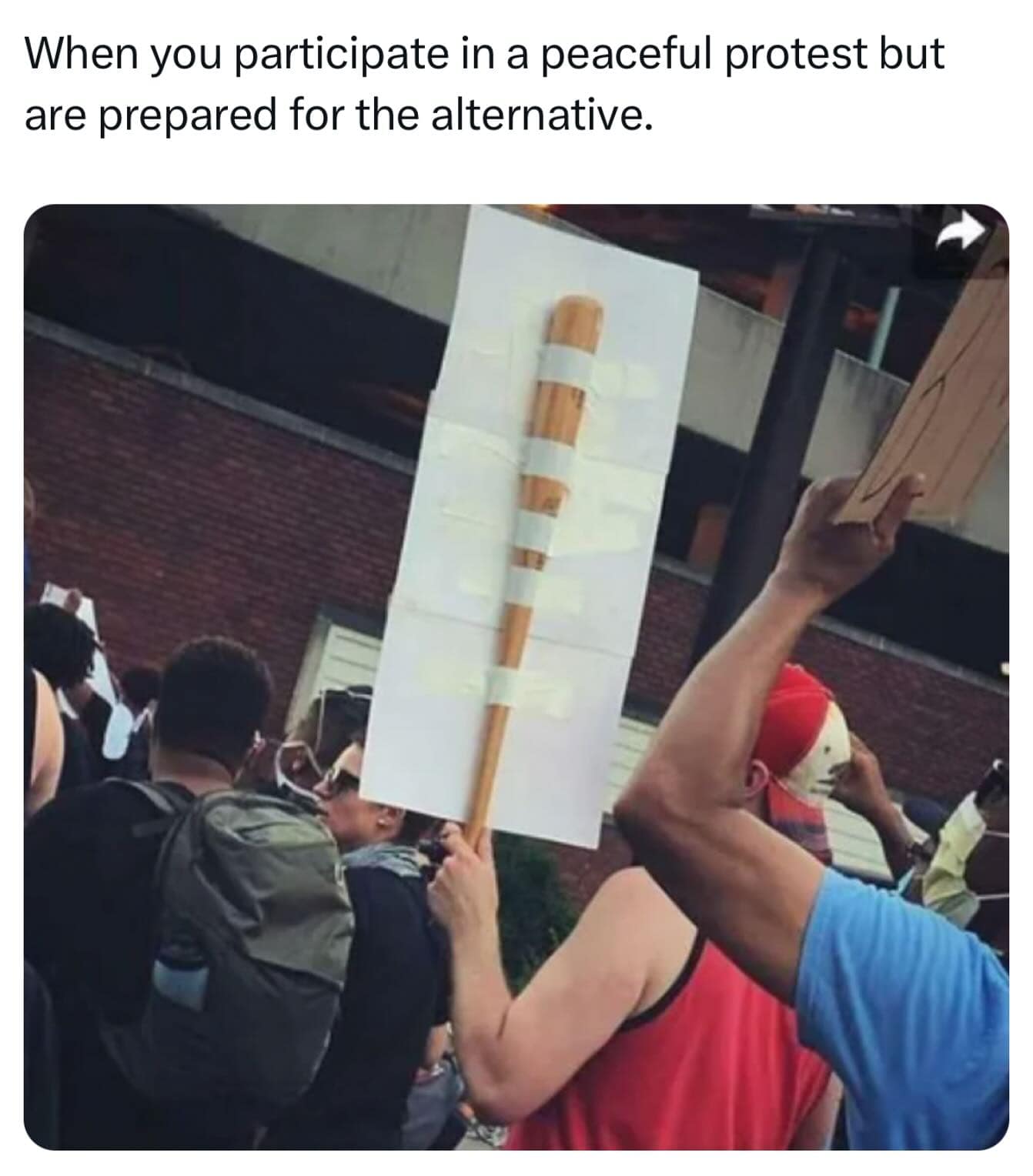 When you participate in a peaceful protest but are prepared for the alternative.