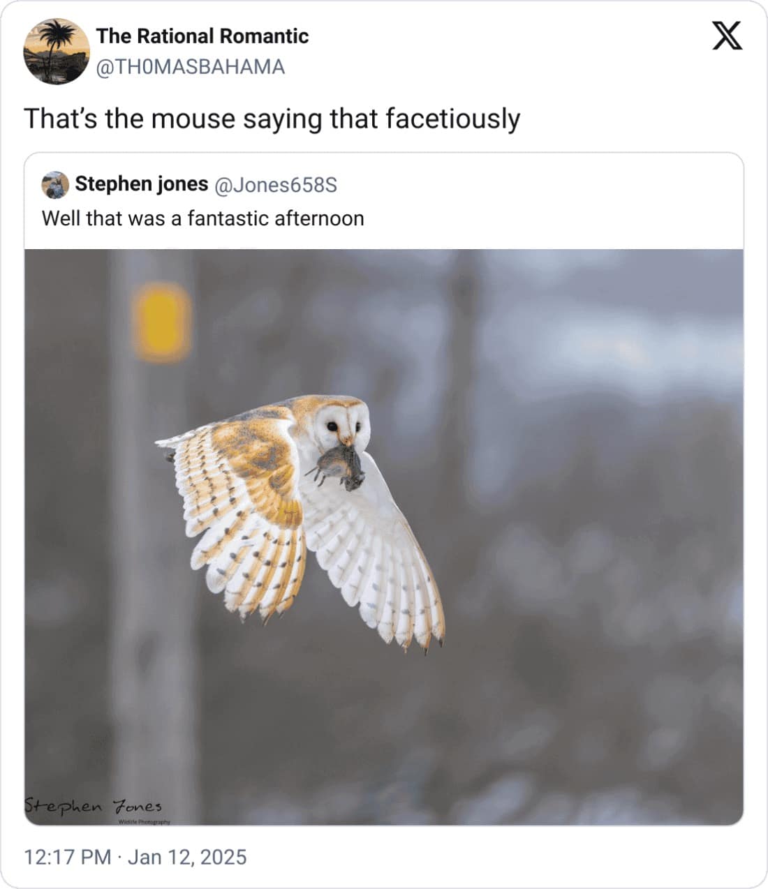 funny quote tweets, funny replies, witty retorts, sarcastic callouts, comedic tweet responses, viral tweets, trending tweets, massively shared tweets, top internet posts, tweet reactions, witty replies, savage comebacks, clever responses