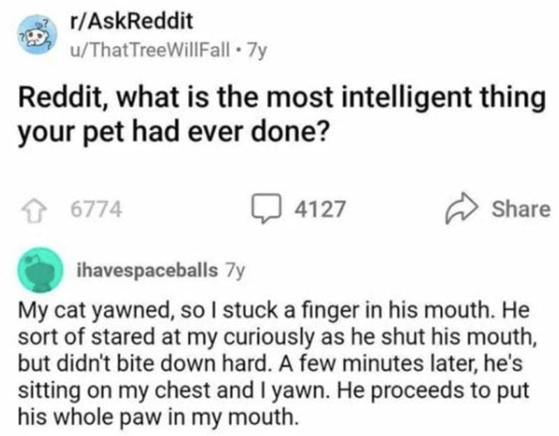 funny reddit posts, bizarre reddit posts, Reddit humor, internet jokes, viral posts, relatable humor, internet culture, weird posts, online humor, digital jokes, absurd content