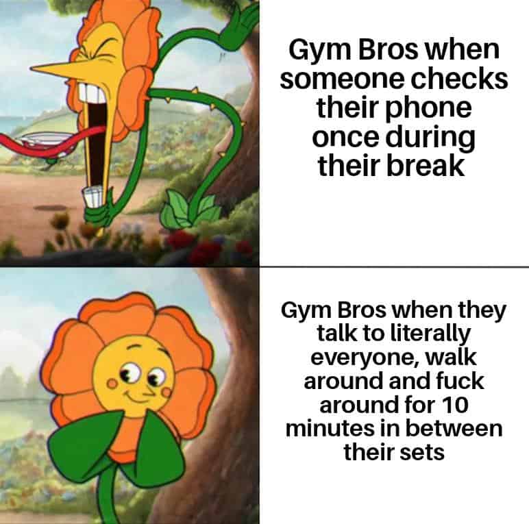 gym memes, workout memes, fitness memes, exercise memes, fitness jokes, exercise humor, health club jokes, gym life references, fitness content, funny gym quotes, comedic workout lines, humorous exercise remarks, sweat session jokes, bodybuilding gags, CrossFit banter, squat rack humor