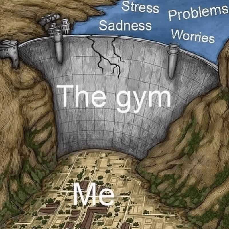gym memes, workout memes, fitness memes, exercise memes, fitness jokes, exercise humor, health club jokes, gym life references, fitness content, funny gym quotes, comedic workout lines, humorous exercise remarks, sweat session jokes, bodybuilding gags, CrossFit banter, squat rack humor