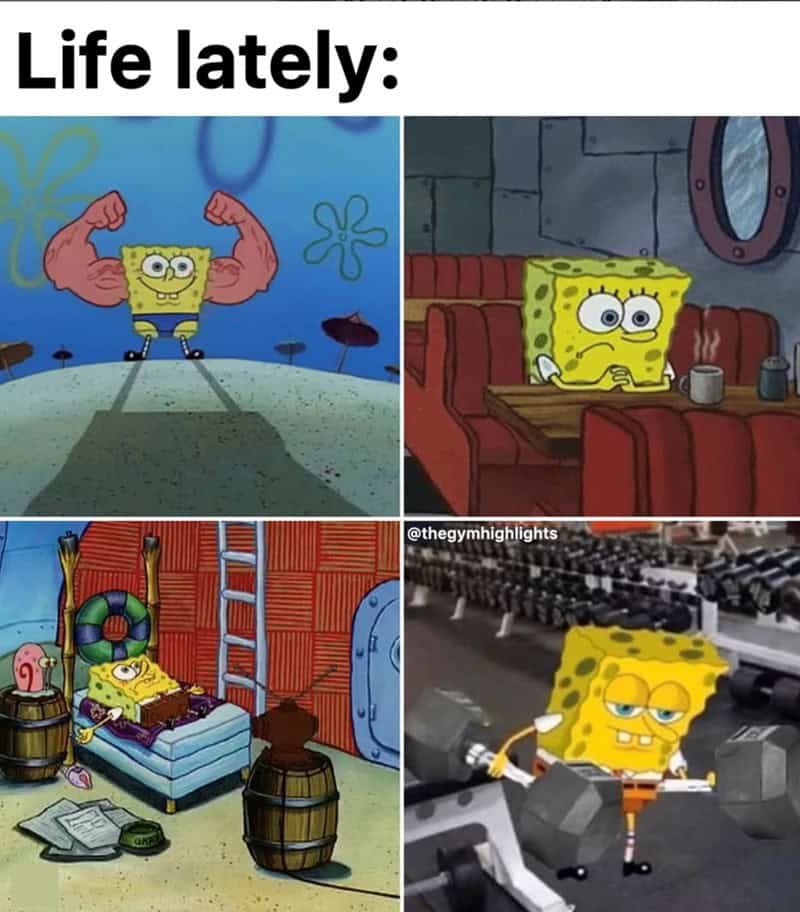 gym memes, workout memes, fitness memes, exercise memes, fitness jokes, exercise humor, health club jokes, gym life references, fitness content, funny gym quotes, comedic workout lines, humorous exercise remarks, sweat session jokes, bodybuilding gags, CrossFit banter, squat rack humor
