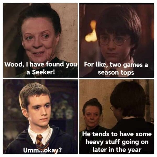 Harry Potter Memes 25 Memes That Hit Harder Than A Bludger Harry Potter Memes 25 Memes That Hit Harder Than A Bludger