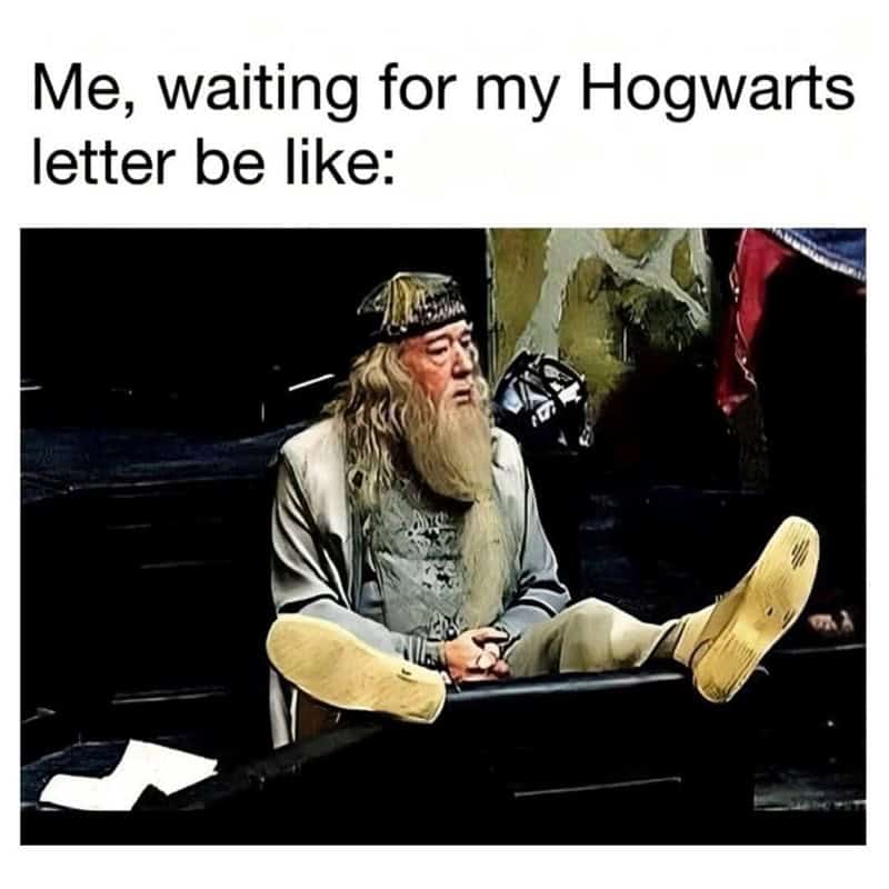 harry potter memes, wizarding world humor, Hogwarts jokes, Potterhead memes, fandom humor, pop culture jokes, magical humor, fan culture, internet jokes