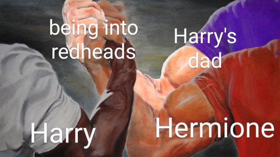 harry potter memes, wizarding world humor, Hogwarts jokes, Potterhead memes, fandom humor, pop culture jokes, magical humor, fan culture, internet jokes