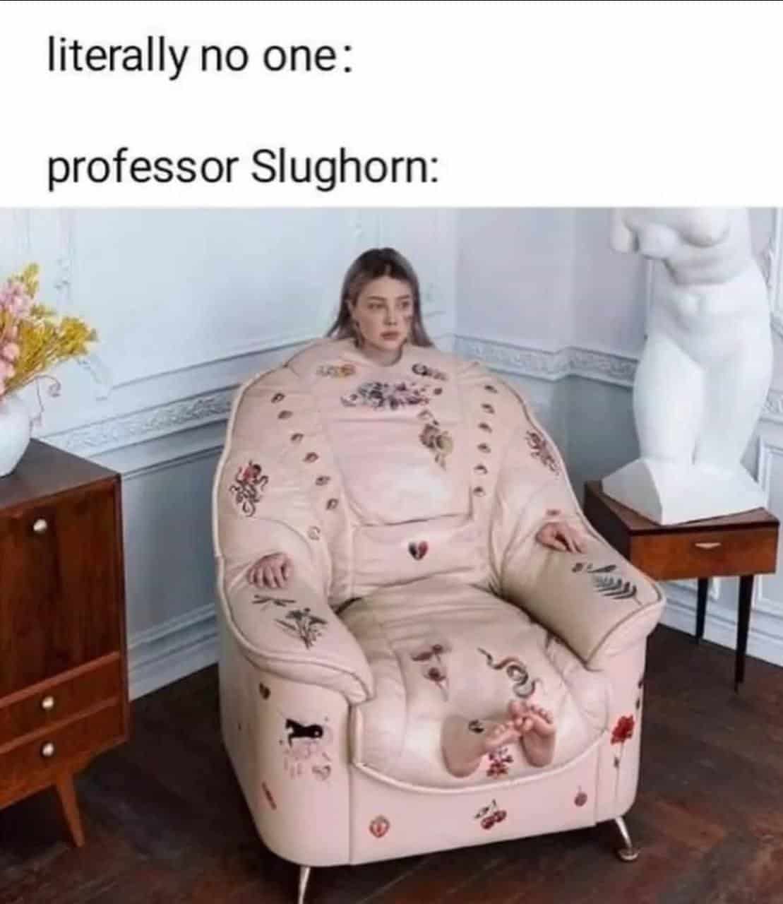 harry potter memes, wizarding world humor, Hogwarts jokes, Potterhead memes, fandom humor, pop culture jokes, magical humor, fan culture, internet jokes