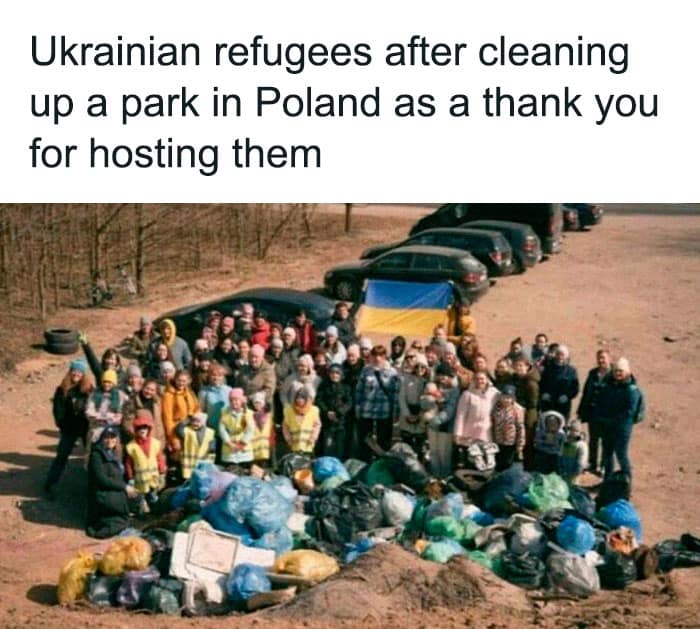 heartwarming memes, wholesome memes, uplifting memes, Feel-good memes, Positive memes, kindness memes, happy memes