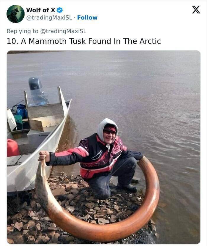 historical artifacts, timeworn items, preserved antiquities, heritage pieces, old-world treasures, primordial objects, age-old remains, societal legacy, ancestral heritage, historical lineage, excavation discoveries, dig site treasures, unearthed evidence