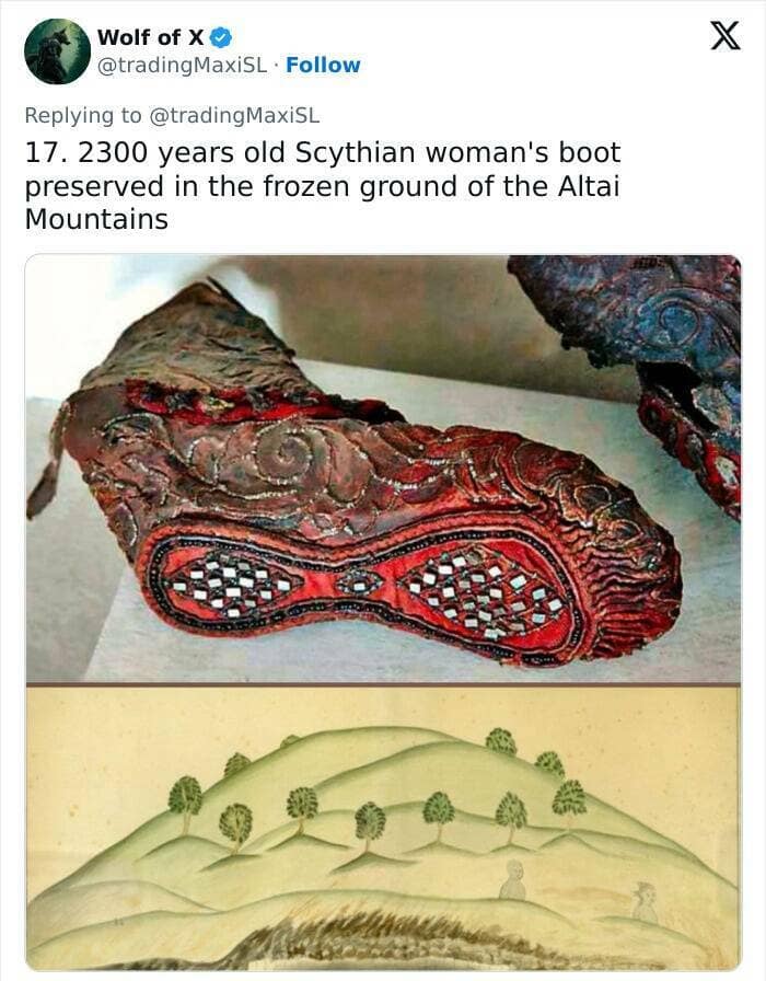 historical artifacts, timeworn items, preserved antiquities, heritage pieces, old-world treasures, primordial objects, age-old remains, societal legacy, ancestral heritage, historical lineage, excavation discoveries, dig site treasures, unearthed evidence