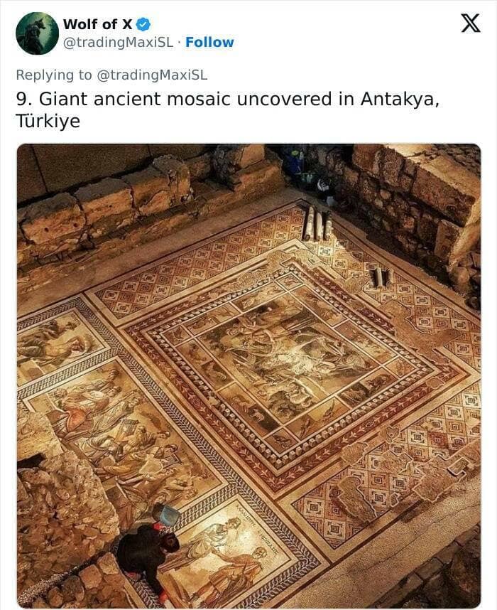 historical artifacts, timeworn items, preserved antiquities, heritage pieces, old-world treasures, primordial objects, age-old remains, societal legacy, ancestral heritage, historical lineage, excavation discoveries, dig site treasures, unearthed evidence