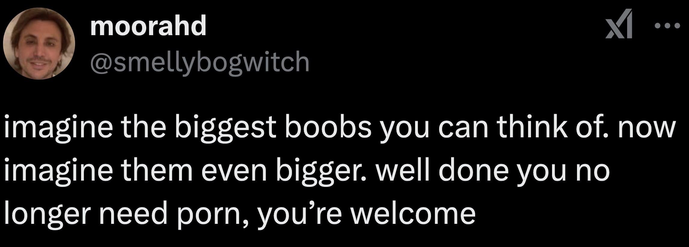 horny jail meme, horny memes, horny jail memes, scandalous tweet, risqué humor, flirtatious jokes, internet humor, taboo comedy, adult references, digital thirst traps, comedic risqué jokes, boundary-pushing tweets, saucy confessions, social media titillation, adult humor, spicy remarks, cringe revelations, after-hours comedy