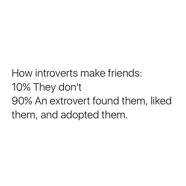 introvert memes, social anxiety memes, quiet personality images, solitary humor, reclusive comedy, shy memes, timid jokes, bashful quips, modest punchlines, social anxiety humor, anxious giggles, awkward comedic relief, tension-laced laughs, alone time jokes, personal space gags, me-time chuckles, solitary puns