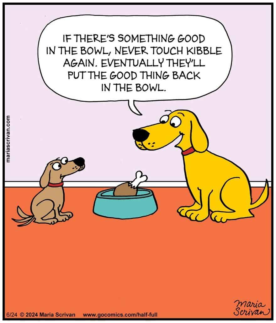 Maria Scrivan cartoons, single panel comics, witty panels, comedic art, satirical sketches, funny cartoons, humorous drawings, jovial strips, comedic doodles, single panel comics, minimal scene humor, one-frame jokes, punchy visuals, cartoon humor, witty animations, satirical cartoons, clever comedic style