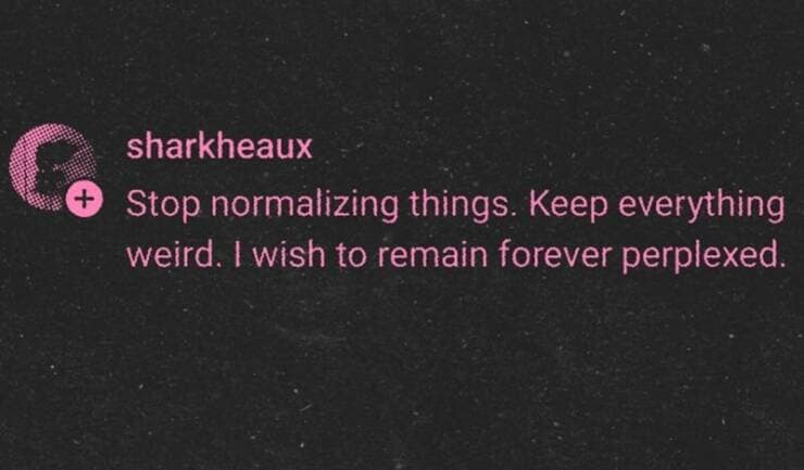 meme dump, funny memes, hilarious memes, meme collection, internet humor, viral memes, Sunday memes, weekend jokes, chill memes, downtime humor, relaxation jokes, dank memes, dank meme dump